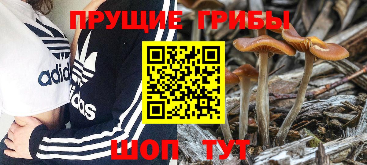 Псилоцибиновые грибы Magic Shrooms  Вход с VPN  Вязники 